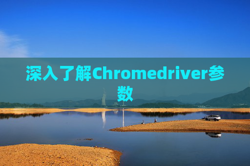 深入了解Chromedriver参数