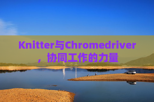 Knitter与Chromedriver，协同工作的力量