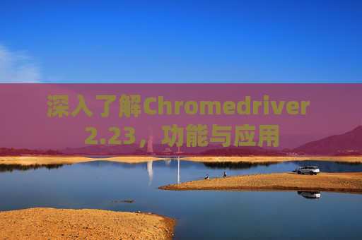 深入了解Chromedriver 2.23，功能与应用