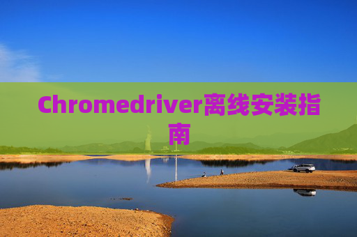 Chromedriver离线安装指南